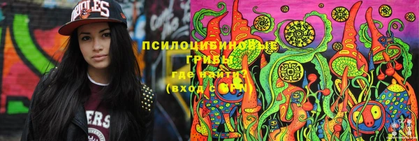 шишки Михайлов
