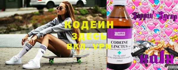 шишки Михайлов