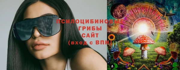 синтетический гашиш Ельня