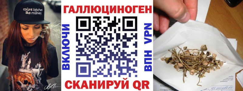 Галлюциногенные грибы GOLDEN TEACHER МЕГА tor Цоци-Юрт