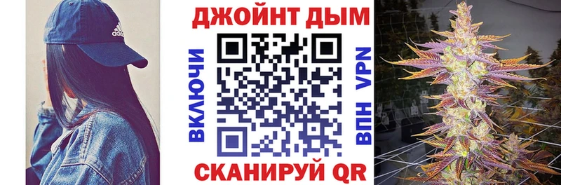 Марихуана сатива Цоци-Юрт